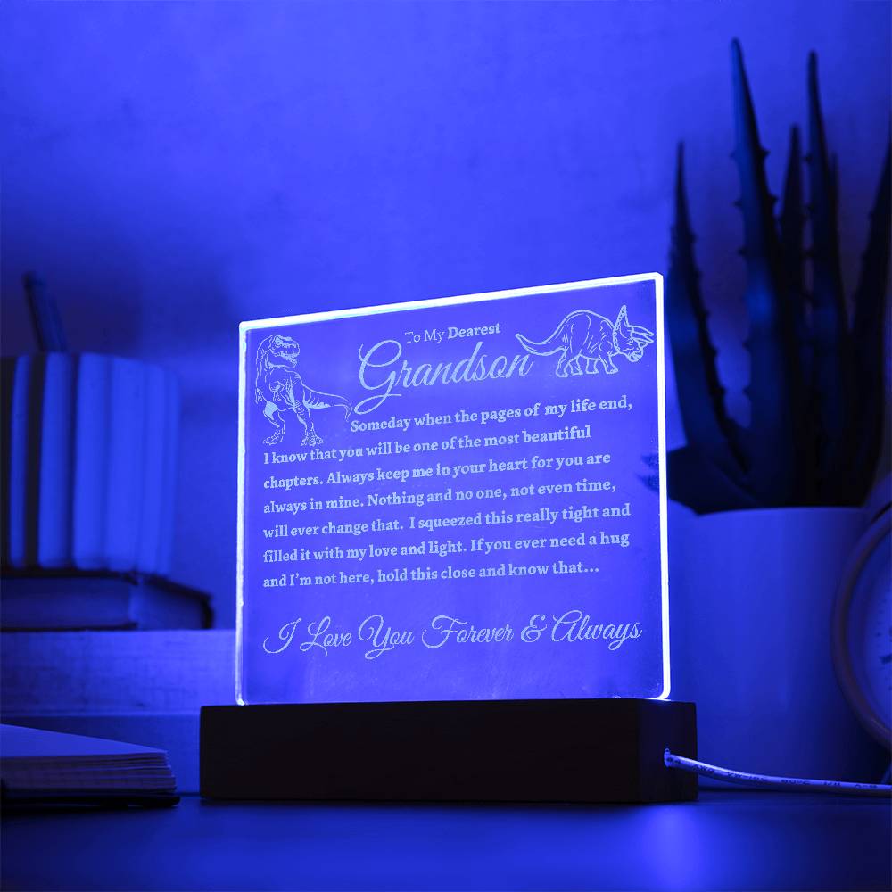Beautiful and Fun "Dinosaur Explorer" Acrylic Night Light