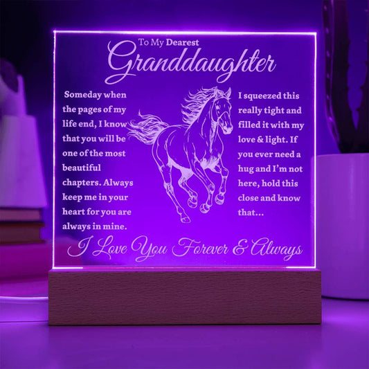 Beautiful "I Love Horses" Acrylic Night Light